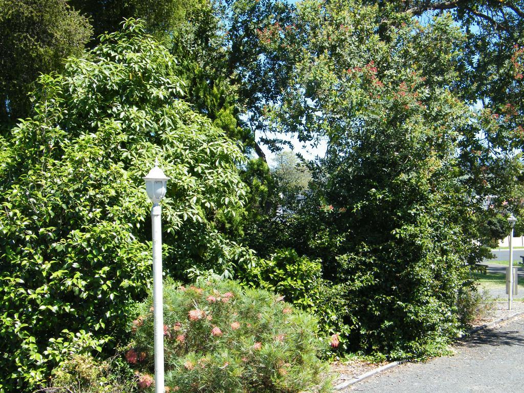 Bega Caravan Park Exteriér fotografie
