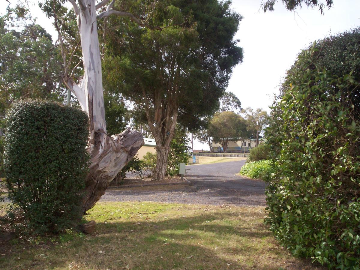 Bega Caravan Park Exteriér fotografie