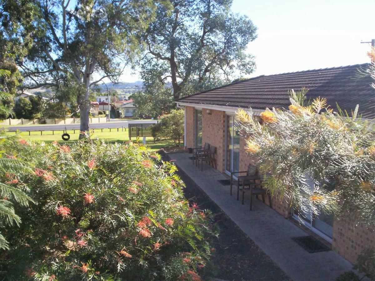 Bega Caravan Park Exteriér fotografie